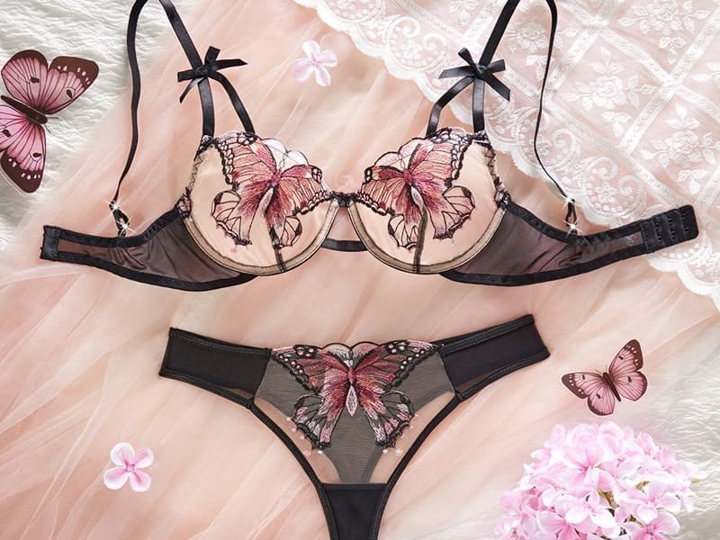 Lace Embroidered Sexy Lingerie